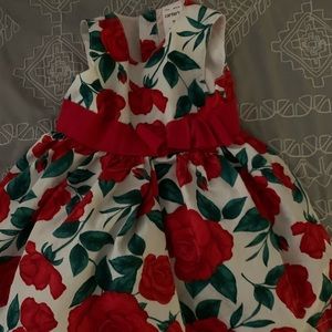 3 month baby girl rose dress